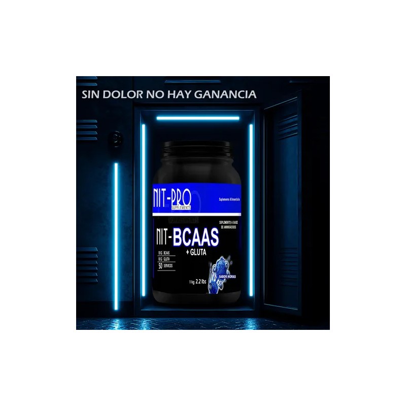 Aminoácidos Suplemento Bcaas + Glutamina Nit-pro 1kg 50serv