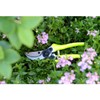 Burgon & Ball FloraBrite RHS Endorsed Bypass Secateur, 21 cm
