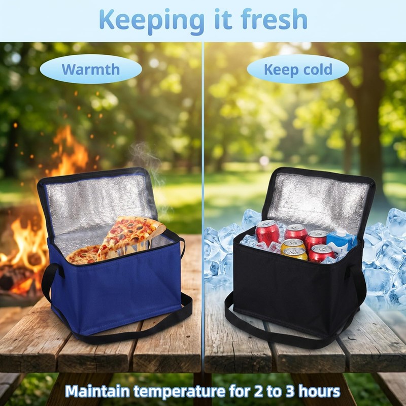 2 Pcs Small Cooler Bag, Small Cool Bags, Cooler Bag