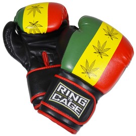 Gym Training Stand-Up Boxing Gloves - Rastafarian (16oz-Large)
