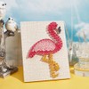 WEBEEDY DIY String Art Kit Craft for Beginners Flamingo String