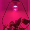Grow Light Bulbs for Indoor Plants - Full Spectrum E26