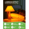 Eastiya Amber Sleep Light Bulbs: 3W Amber Warm Light Bulb