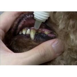 Taurus Toothpaste Jelly for Children Who Do Not Like Toothpasting, 1 x 1 fl oz (30 ml)