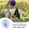 Rodillera Para Perros Rodillera Acl Para Perros Rodillera Pr Negro