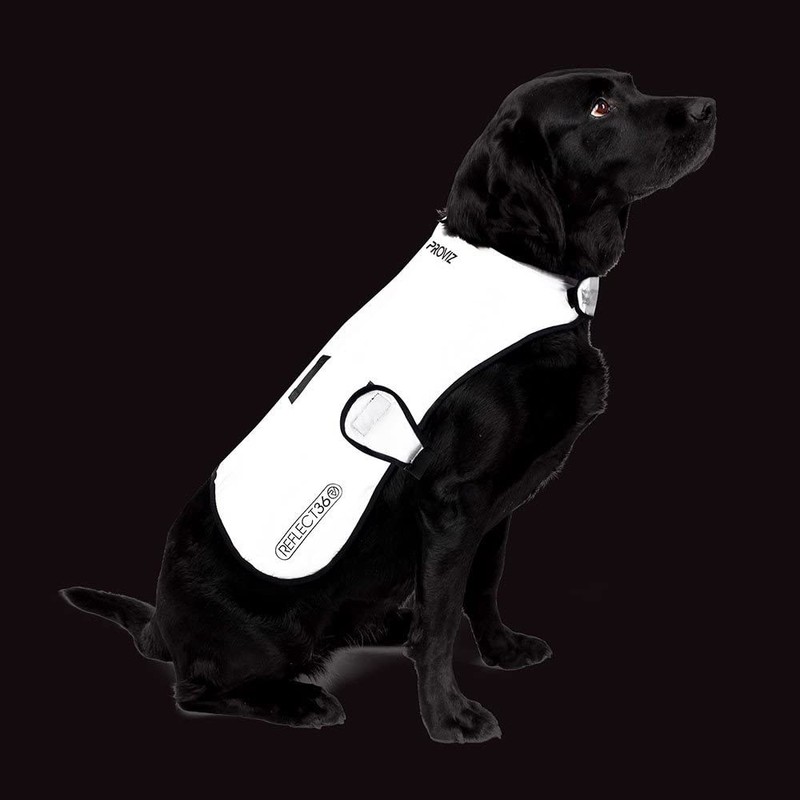 Proviz Waterproof Dog Jacket REFLECT360-100% Reflective and Waterproof (Large)