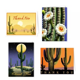 Stonehouse Collection Assorted Desert Cactus Thank You Cards - 12 Boxed Cards and Envelopes - 14901