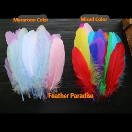 Feather Paradise Goose Pallet Feathers Macaroon Packed Loose Goose Feathers mixed Colors 50pcs