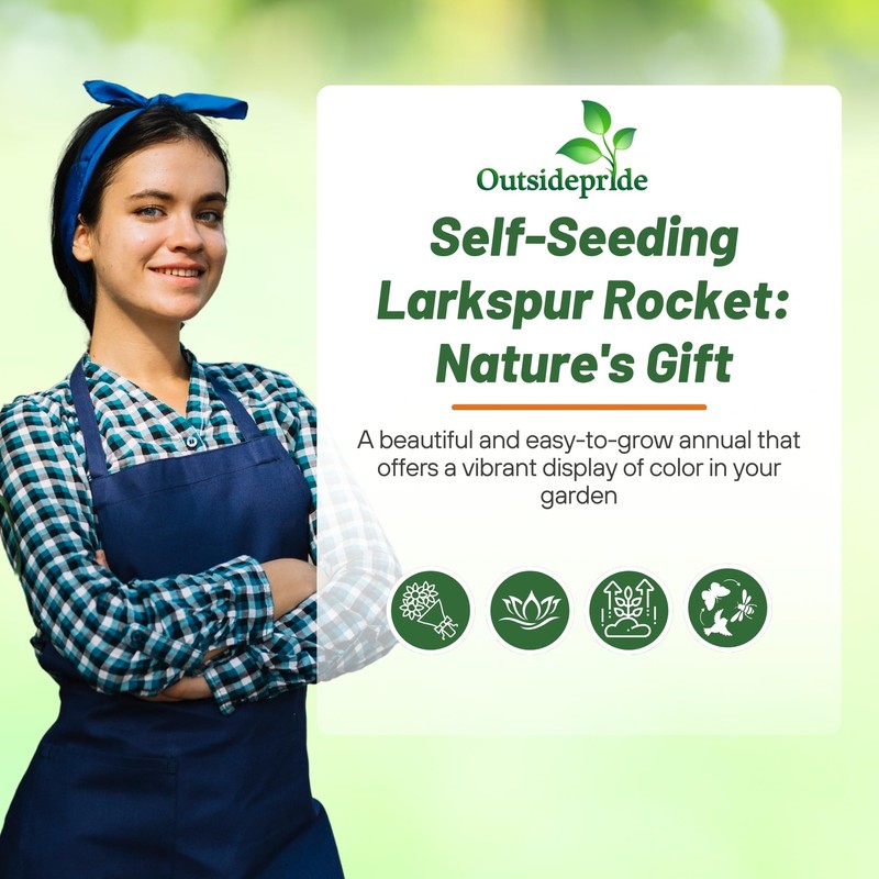 Outsidepride Mixed Rocket Larkspur Seeds for Planting Outdoors - 1000