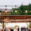 Larkvue 48FT Outdoor String Lights with Remote, Dimmable Patio Lights