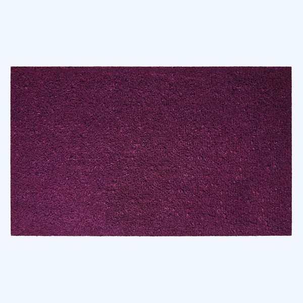 Calloway Mills AZ105802436NP Colorido Pastel Doormat, 24" x 36", Purple