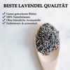 Lavender Blossoms Dried 1 Litre (1 x ~ 140 g)
