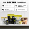Ascent Clean Creatine Monohydrate Powder - 5G Per Serving, Creapure