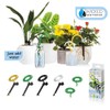 Wicked Waterer 4-Spike Watering Kit - Multi-Plant Watering System -