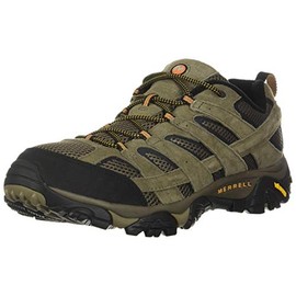 Merrell Men's Moab 2 Vent Hiking Shoe, Walnut, 10 W US