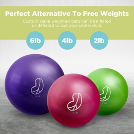 Soft Weighted Balls - 4lbs Hibiscus (2 Pack)
