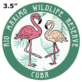 Blue Heron Flamingos Rio Maximo Wildlife Reserve Car Truck Window Bumper Sticker Decal - Dark Green