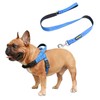 iChoue Dog Harness and Leash Set Easy On and Off