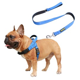 iChoue Dog Harness and Leash Set Easy On and Off Adjustable Harness Paired with Matched Dog Leash - Blue L