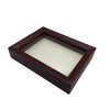 COZENTA Specimen Box Seara Case Butterfly Small Wooden (Brown Outer