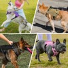 Tactical Dog Harness for Large Dogs, Heavy Duty No Pull