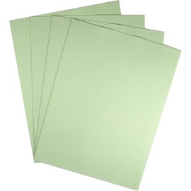 KCS 4/6 pc of 12" x 18"(30cmx45cm) 18CT Counted Cotton Aida Cloth Cross Stitch Fabric (4 pc,Light Green)