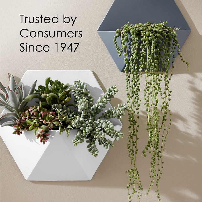 1 qt Krylon K05642007 Hunter Green COLORmaxx Paint & Primer,