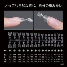 Nail Tips, Oval Short S, Half Tip, Half Paste, Double Sided Mat, Fake Nails, Ultra Thin, 12 Sizes, Set of 300, Non-Sanding, Full Coverage, Plain Tip, Clear Tip, For Practice
