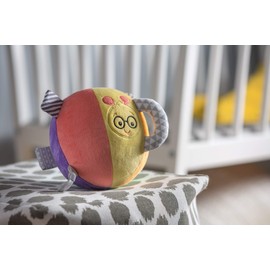 Mary Meyer Baby Einstein First Discoveries Chime Ball Soft Toy, 6-Inches, Cal Caterpillar