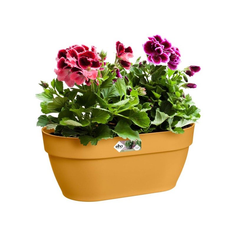 elho Vibia Campana Wall Basket 35 - Planter for Balcony