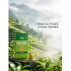 LeafCharm Matcha Capsules for Iced Latte, Original Line, 10 Count