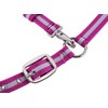 Adjustable Horse Headcollar, Training Halter, Heavy Duty Nylon Padded with