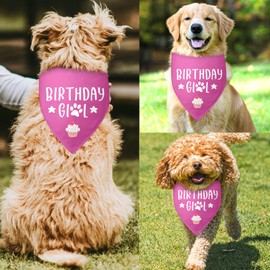 Dog Birthday Bandana Birthday Girl Dog Bandana Pink Dog Bandana Girl Dog Birthday Funny Dog Bandana Birthday Photo Prop Pet Scarf Accessories for Pet Dog Lovers Gifts