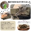 FABULOUS TIME 10101641 Hanten Cat Pattern, Men's, Women's, Lightweight, Washable