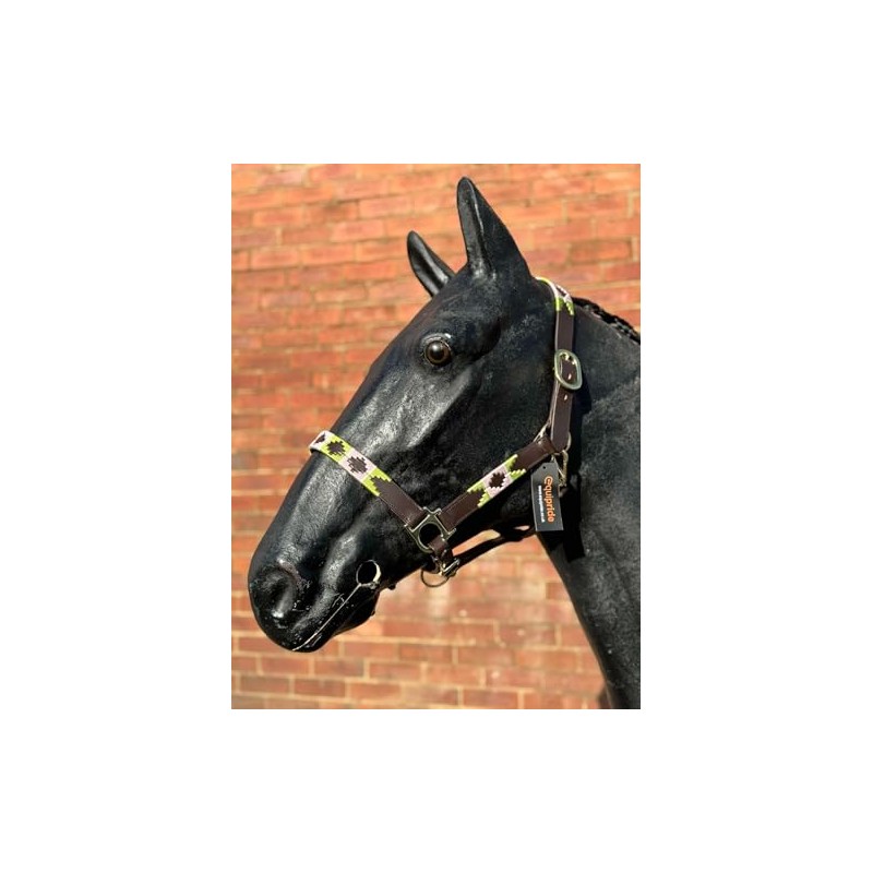 Argentina Polo Leather Horse Headcollar Halter, Embroidered, Rose Pink /Green