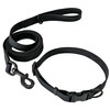 LiLe Waterproof Collar and Leash (Large)