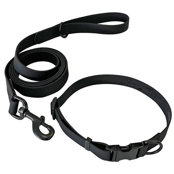 LiLe Waterproof Collar and Leash (Large)