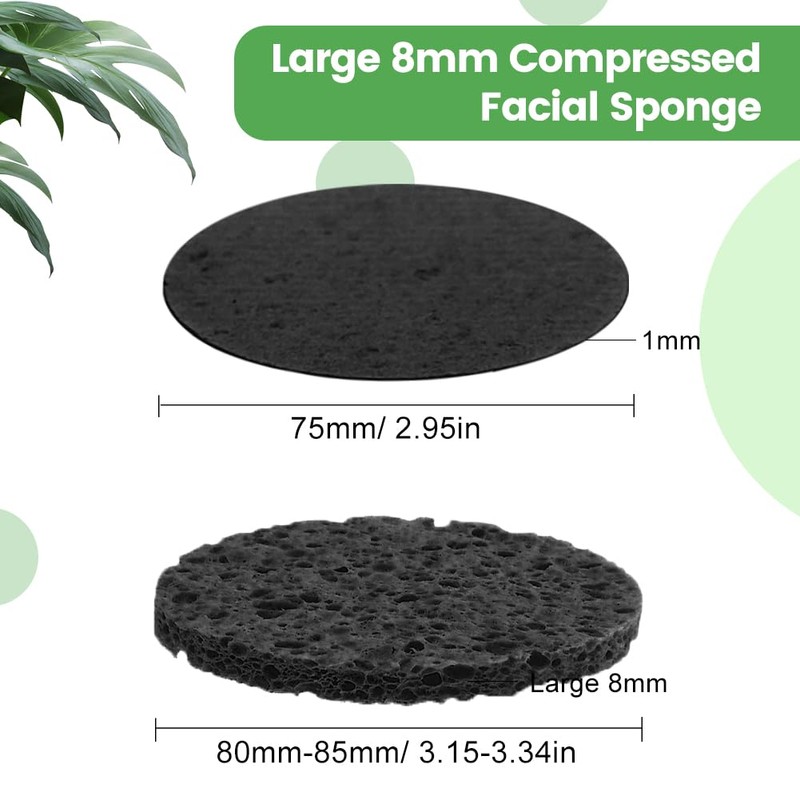 Pack of 30 Large Compressed Face Sponges for Men and