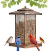 LBTING Bird Feeder for Outside, Metal Lantern-Shaped Bird Feeder, Squirrel
