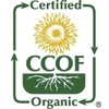 McCabe Organic Roasted Grain Tea Bundle - Brown Rice, Corn,