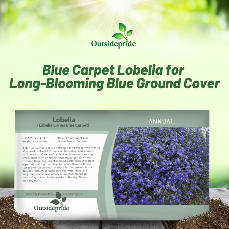 Outsidepride Blue Carpet Lobelia Seeds - 10000 Pcs Annual Ground