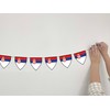 AK Giftshop Serbia Pennant Flag Bunting Birthday Wedding Events Decorations