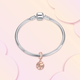 Annmors Jewellery Charm Family Hearts Pendant S925 Sterling Silver Bracelet Bead with Cubic Zirconia for European Bracelets Necklace, Mother's Day Jewellery Gift Christmas for Men and Women, Silver