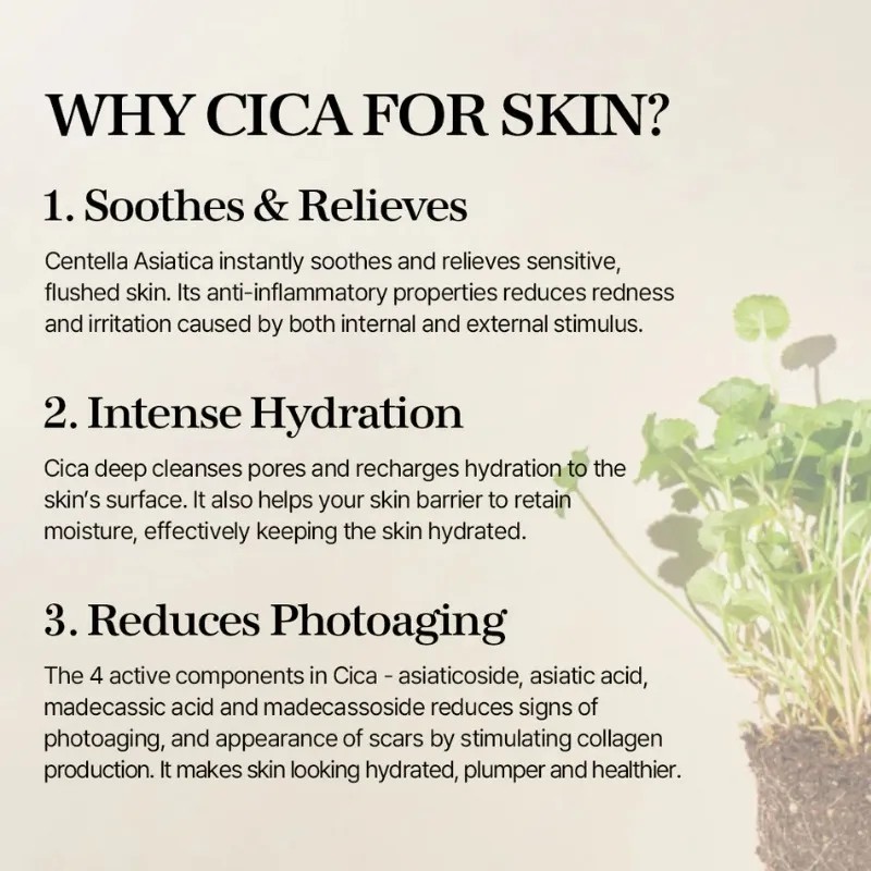 Crema Hidratante Centella Asiatica Essence