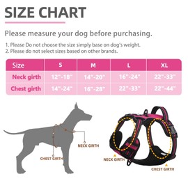 PUPTECK No Pull Dog Harness for Large, Adjustable Reflective Dog Harness with Handle Easy Control, Comfortable Soft Padded Pet Vest Harness for Large Dogs, Fuschia L