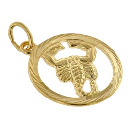 trendor Zodiac Sign Scorpio 333 Gold Pendant Diameter 16 mm Fashionable Zodiac Sign Pendant Made of Real Gold for Men and Women Elegant Gift Idea 39000-11, Gold