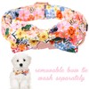 Unique style paws Cartoon Dog Collar with Bow Spring Summer