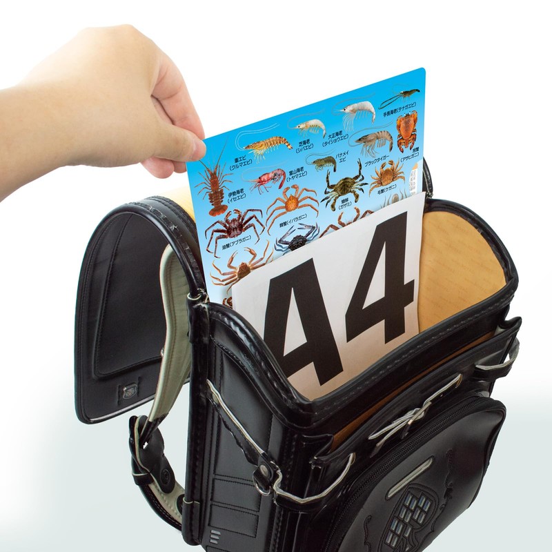 The Access Clear File, Sea Products, A4 Pocket File, Clear