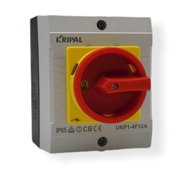 EKABEL24 Main Switch with Housing and Emergency Stop Function, Reliable Circuit Breaker for Electrical Installations, Toggle Switch, Surface-Mounted Switch, 32A 4-Pin