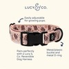 Lucy & Co. Dog Collar - Durable Lightweight Designer Collar